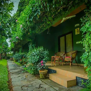 https://eco-tones-camps.kerala-hotels.net